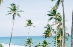 travels-tips-andaman-islands