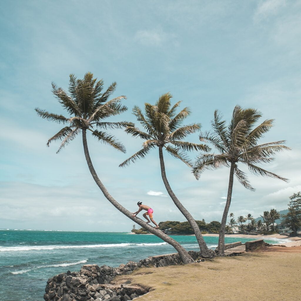 wandoor beach