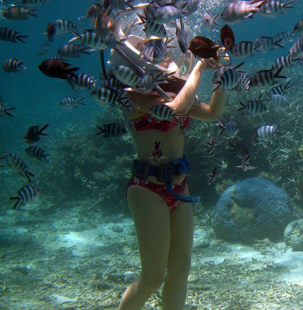 Sea Walk in Andaman